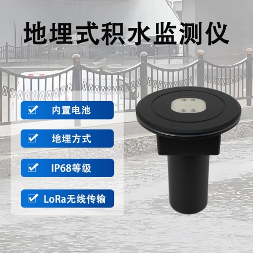 交通枢纽与特殊区域地埋式积水监测仪的布设策略